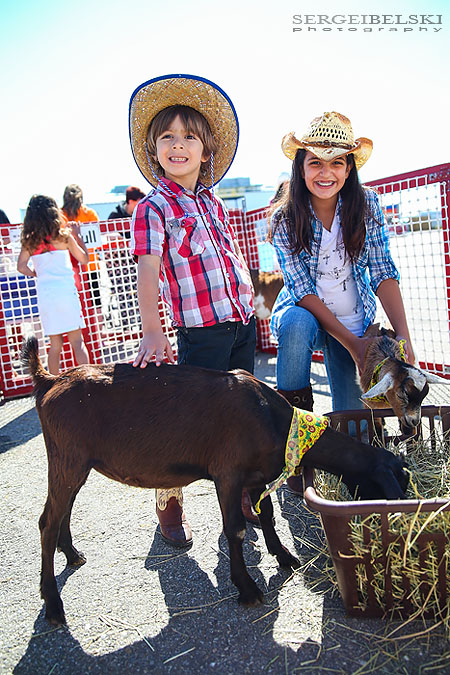airdrie stampede event photo