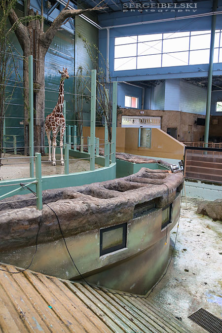 calgary zoo damage sergei belski photo
