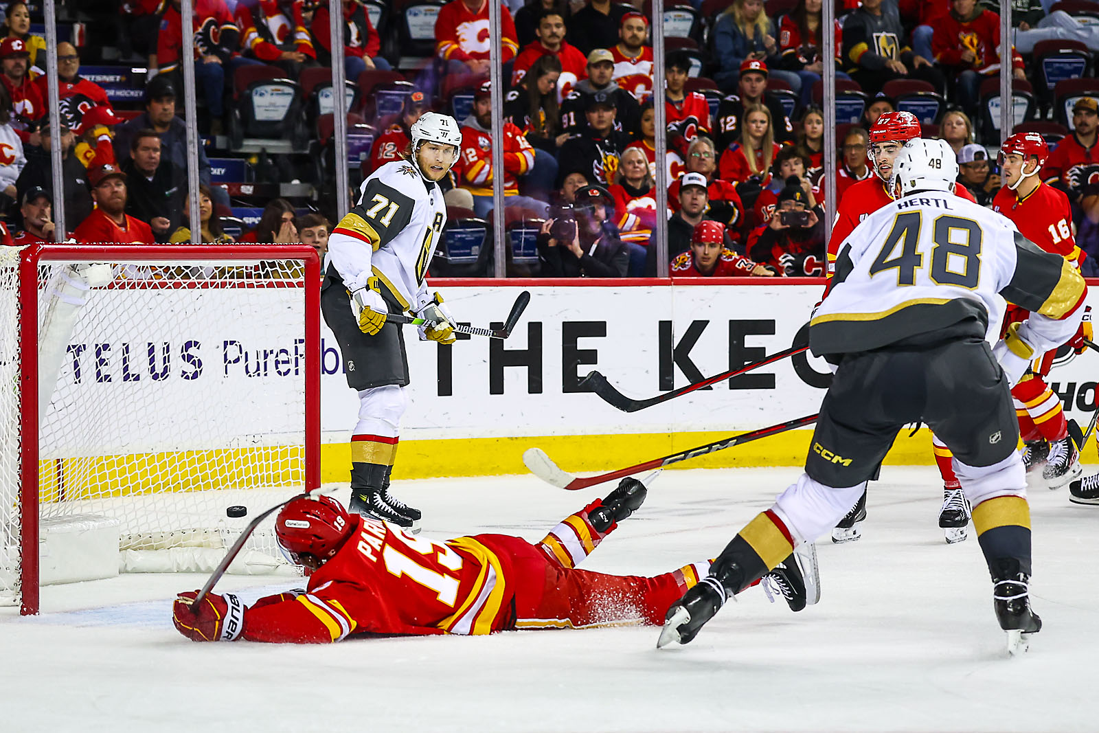 nhl hockey Calgary Flames sports photographer sergei belski photo nhl hockey Calgary Flames sports photographer sergei belski photo