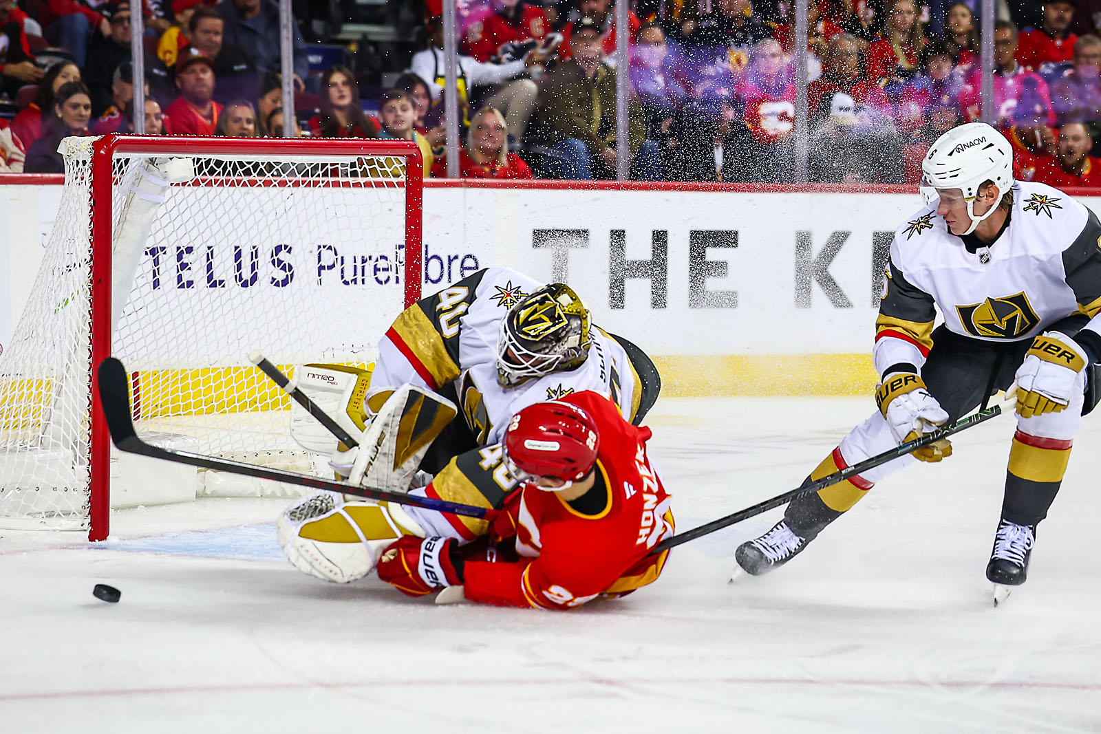 nhl hockey Calgary Flames sports photographer sergei belski photo nhl hockey Calgary Flames sports photographer sergei belski photo
