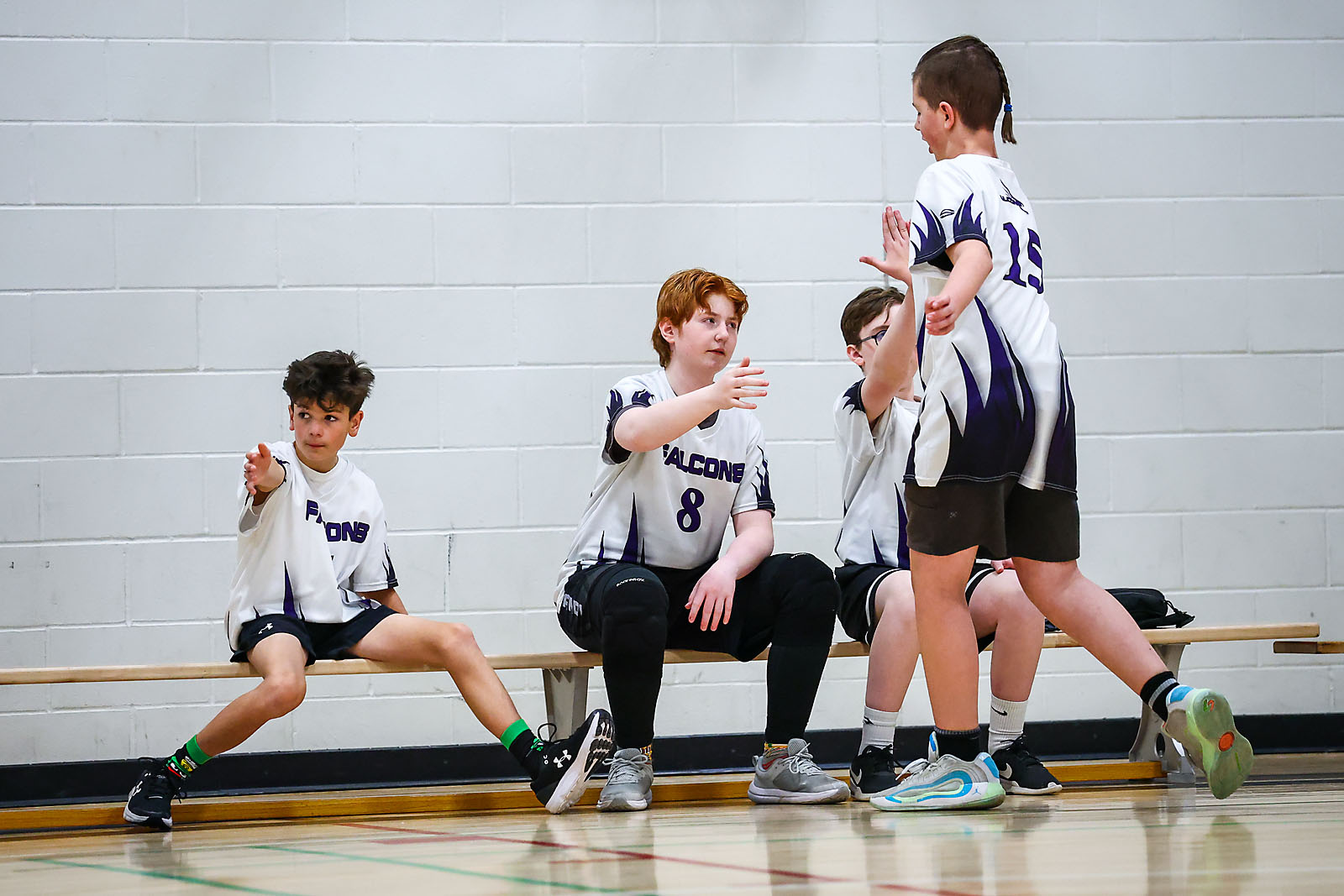 volleyball airdrie sports photographer sergei belski photo