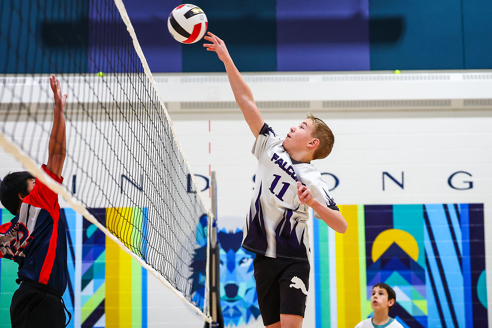 volleyball airdrie sports photographer sergei belski photo