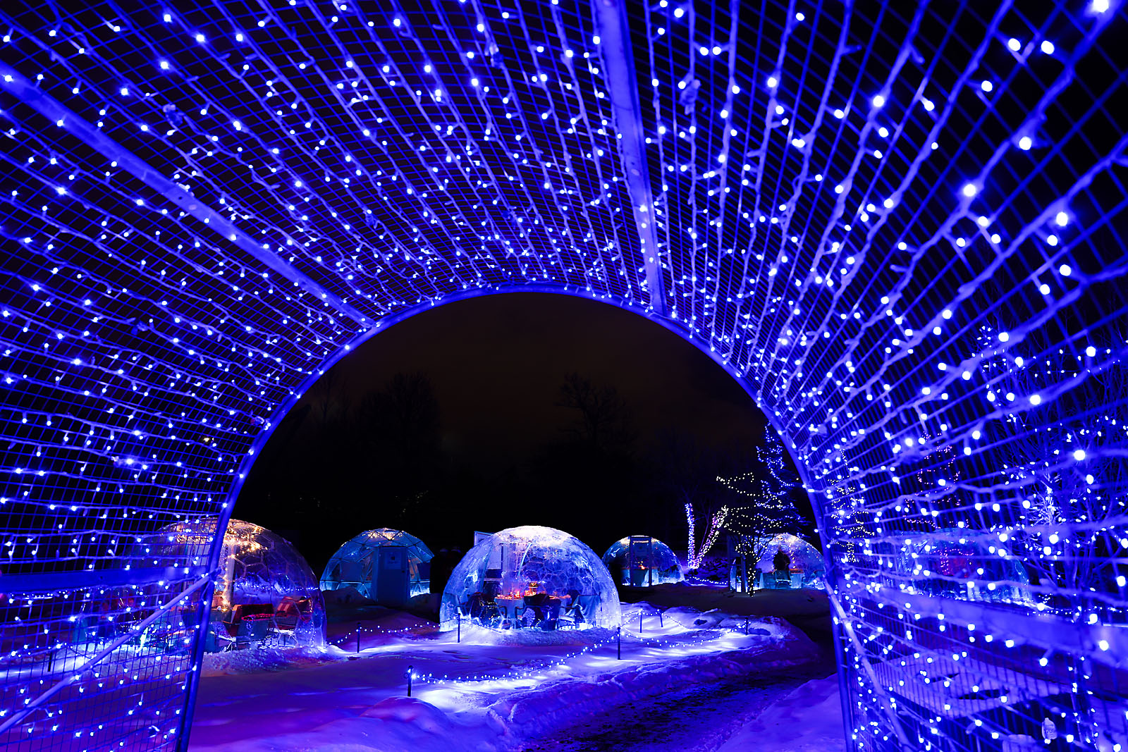 calgary zoolights event photographer sergei belski photo