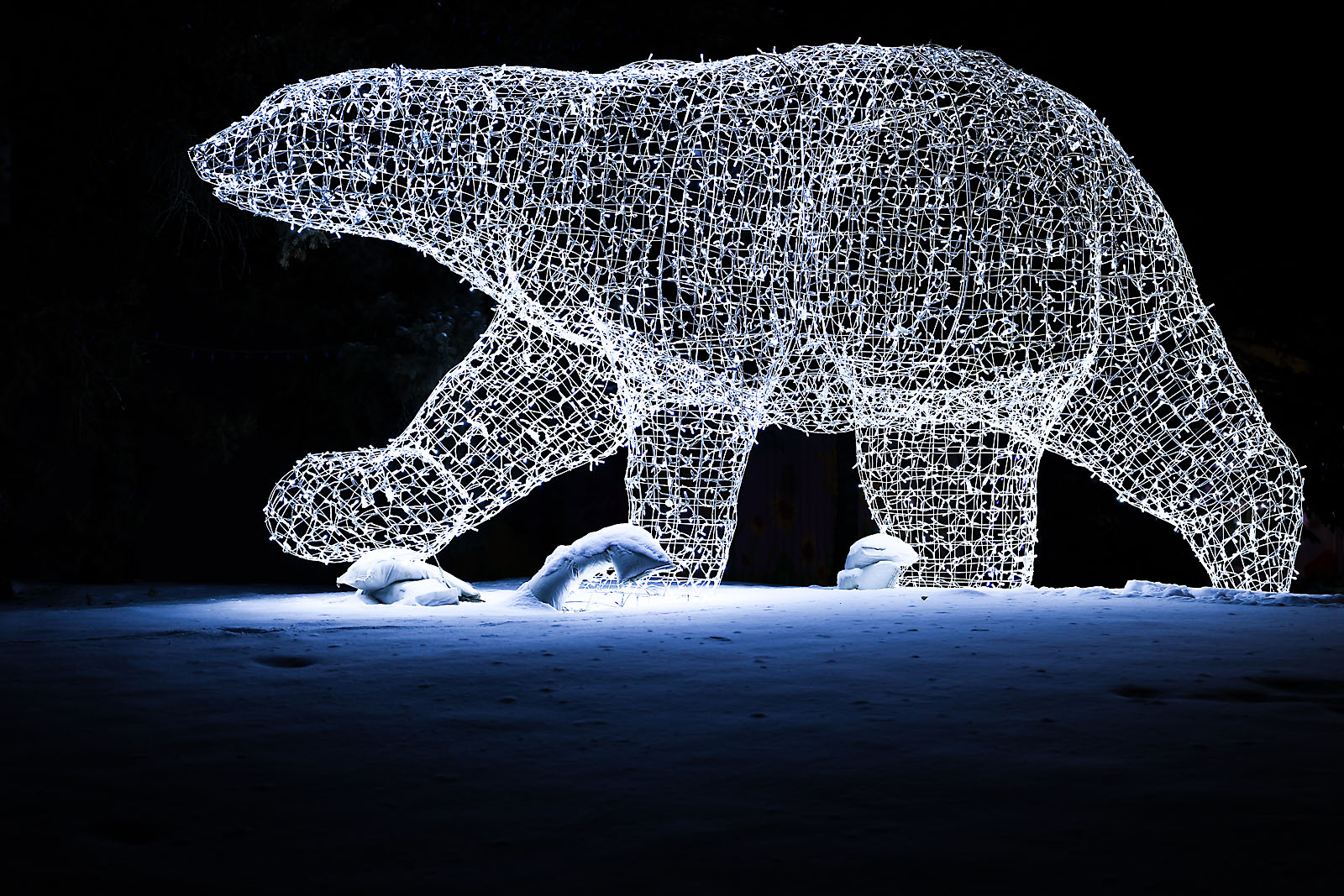 calgary zoolights event photographer sergei belski photo