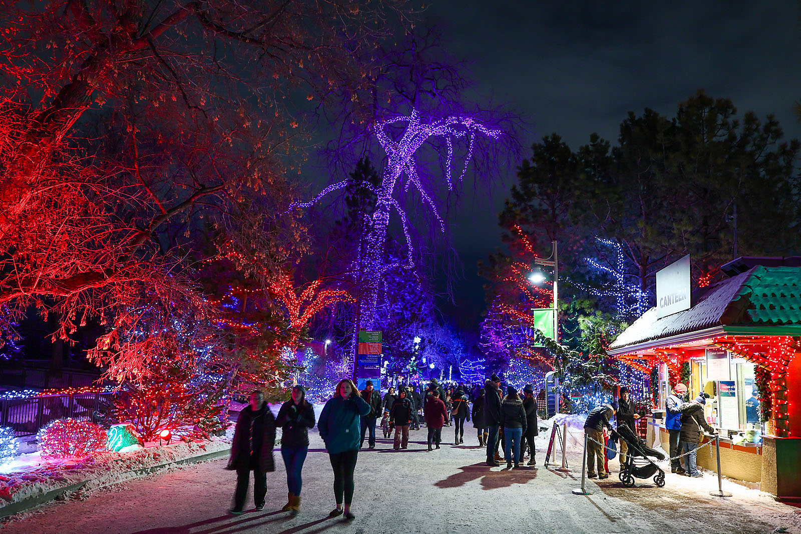 calgary zoolights event photographer sergei belski photo