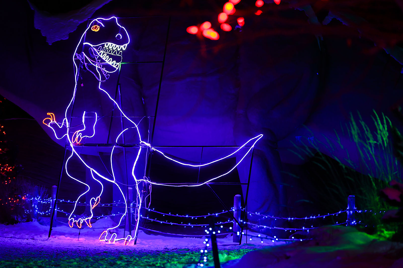 calgary zoolights event photographer sergei belski photo