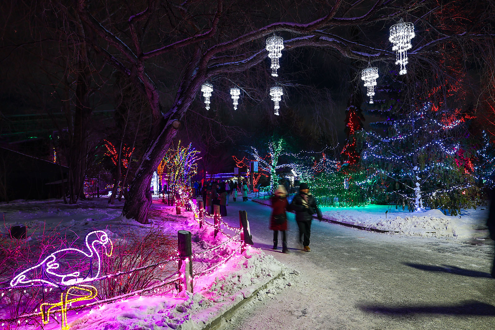 calgary zoolights event photographer sergei belski photo