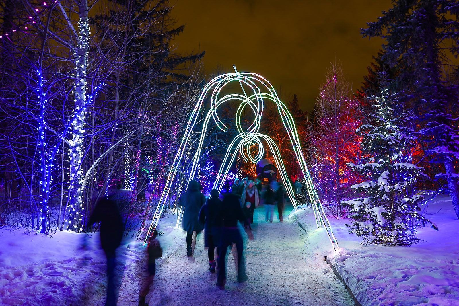 calgary zoolights event photographer sergei belski photo