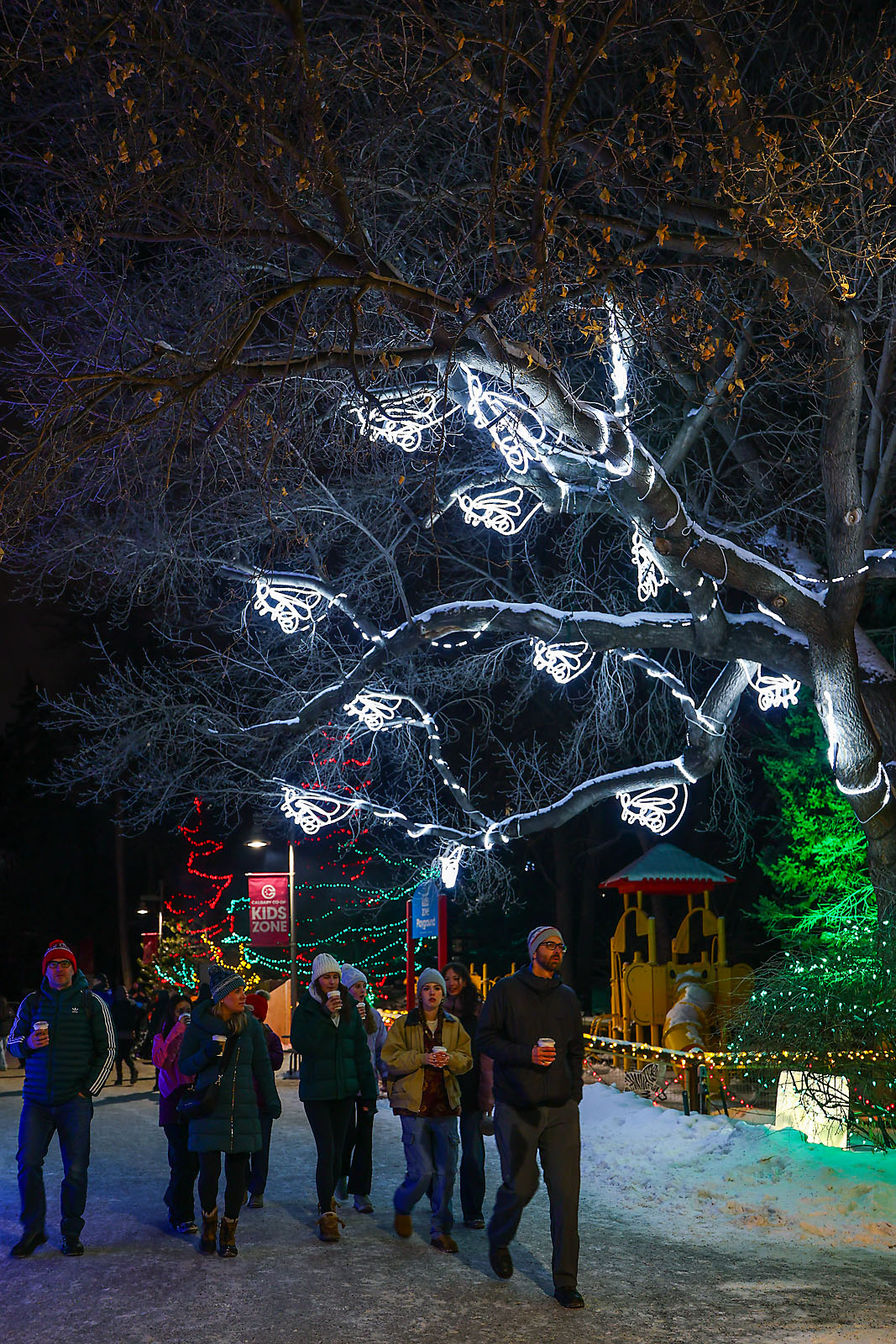 calgary zoolights event photographer sergei belski photo