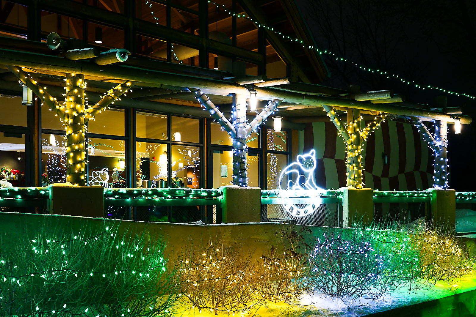 calgary zoolights event photographer sergei belski photo