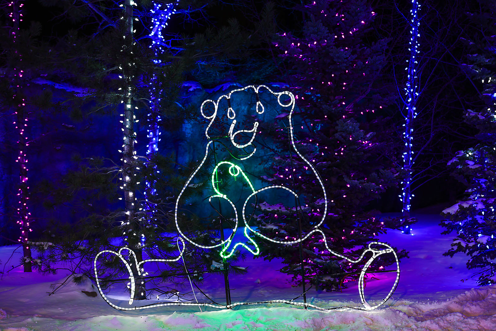 calgary zoolights event photographer sergei belski photo