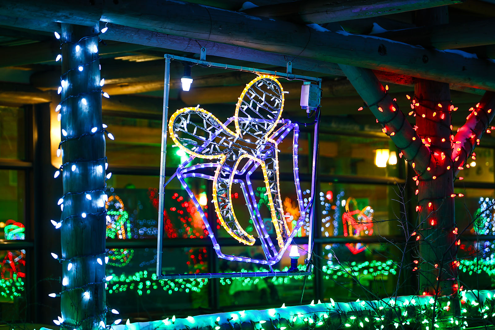 calgary zoolights event photographer sergei belski photo