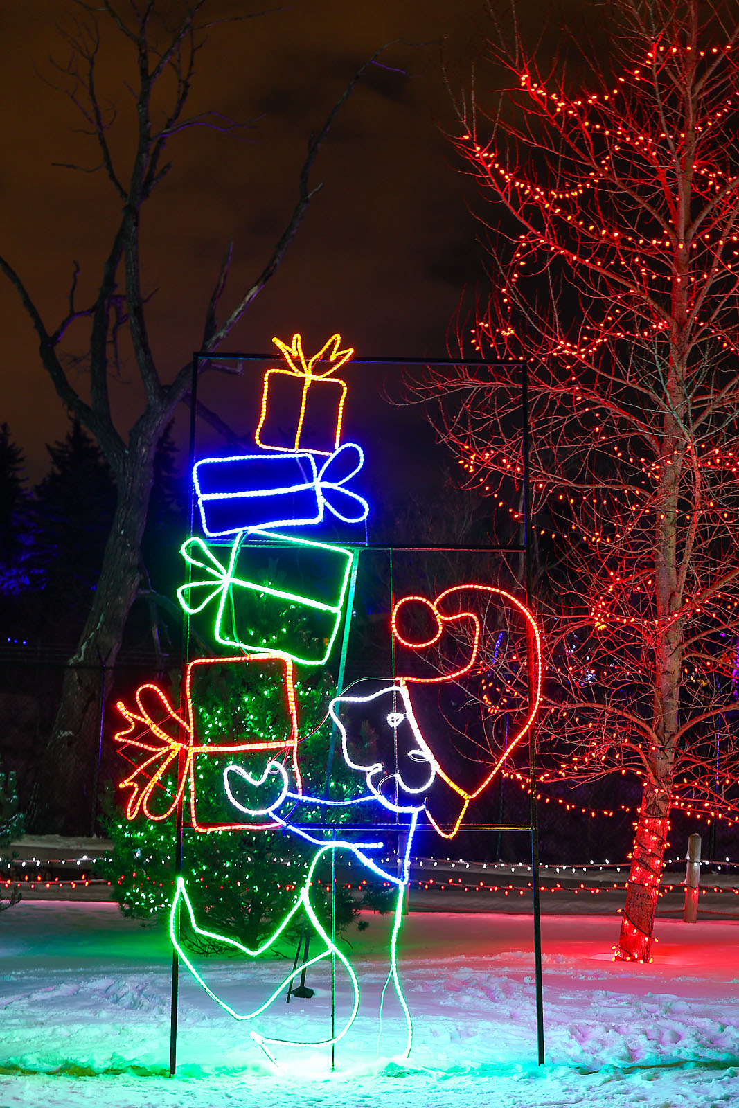 calgary zoolights event photographer sergei belski photo