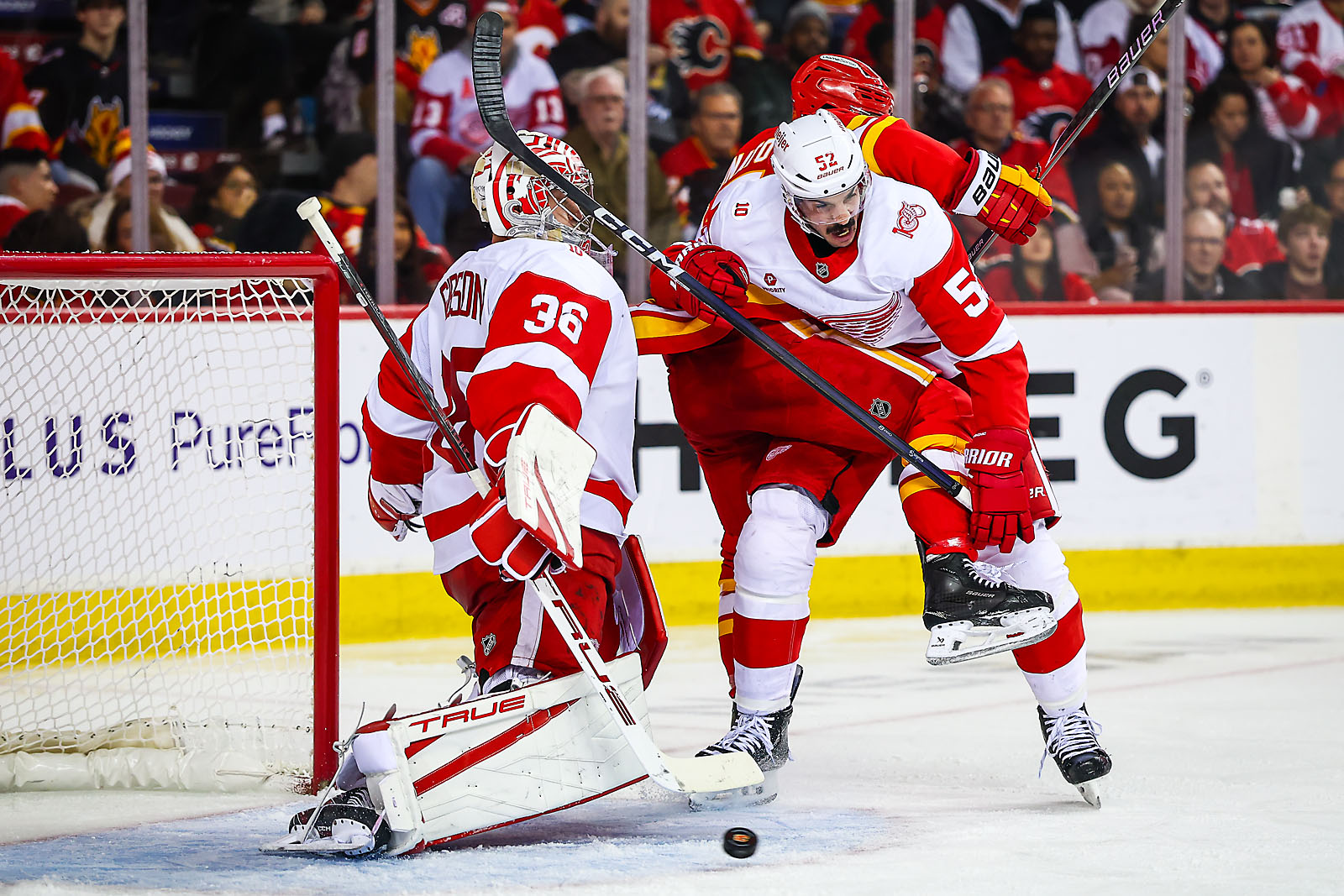 nhl hockey Calgary Flames sports photographer sergei belski photo