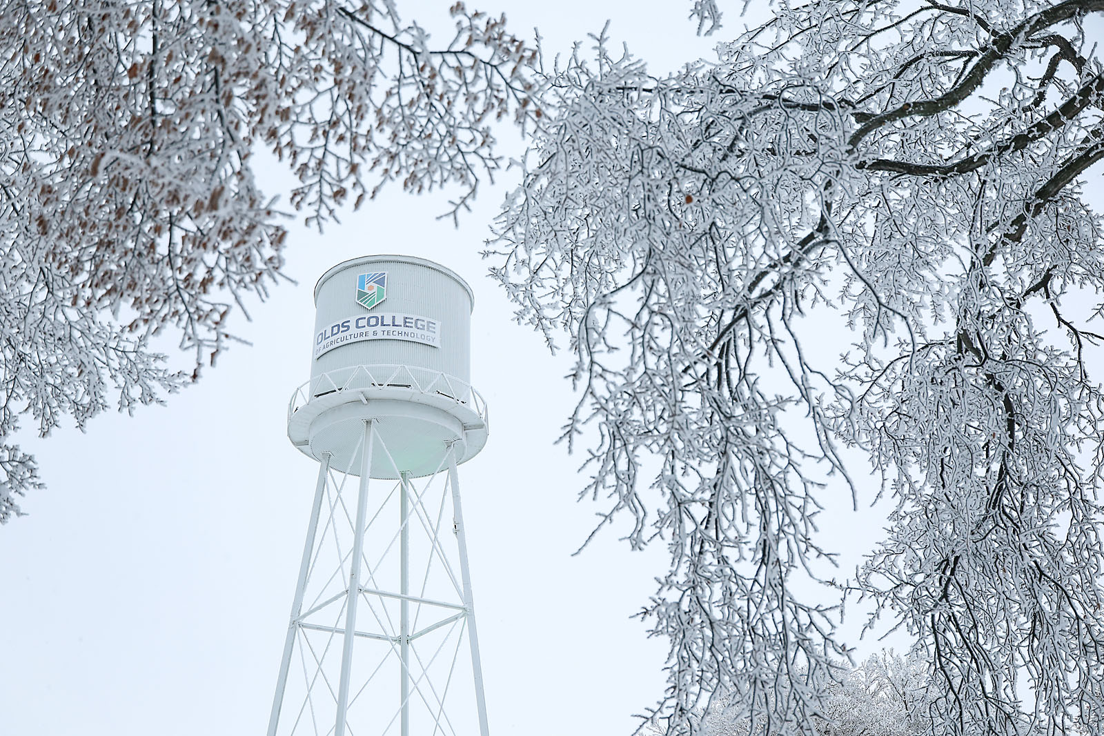 olds college commercial calgary photographer sergei belski photo