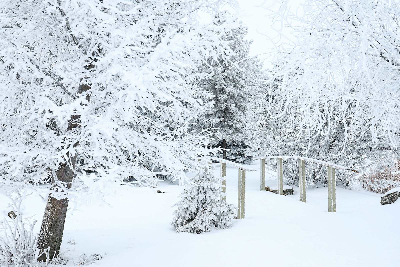 olds college commercial calgary photographer sergei belski photo