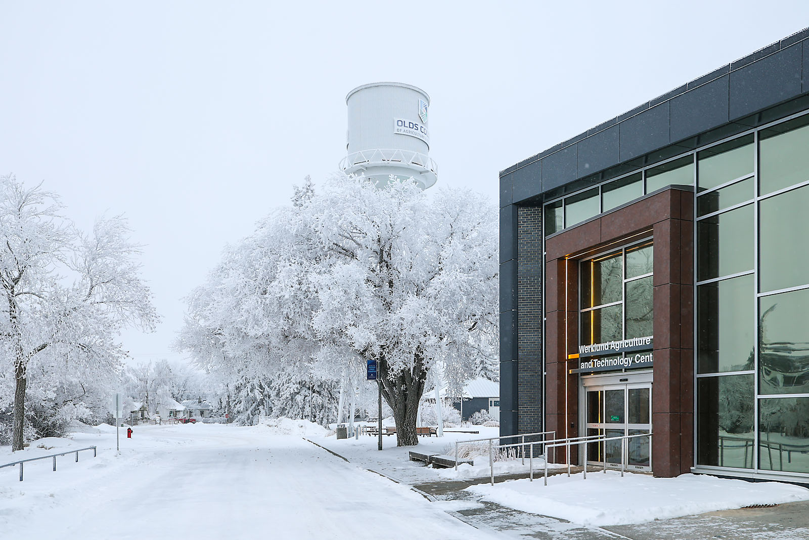 olds college commercial calgary photographer sergei belski photo