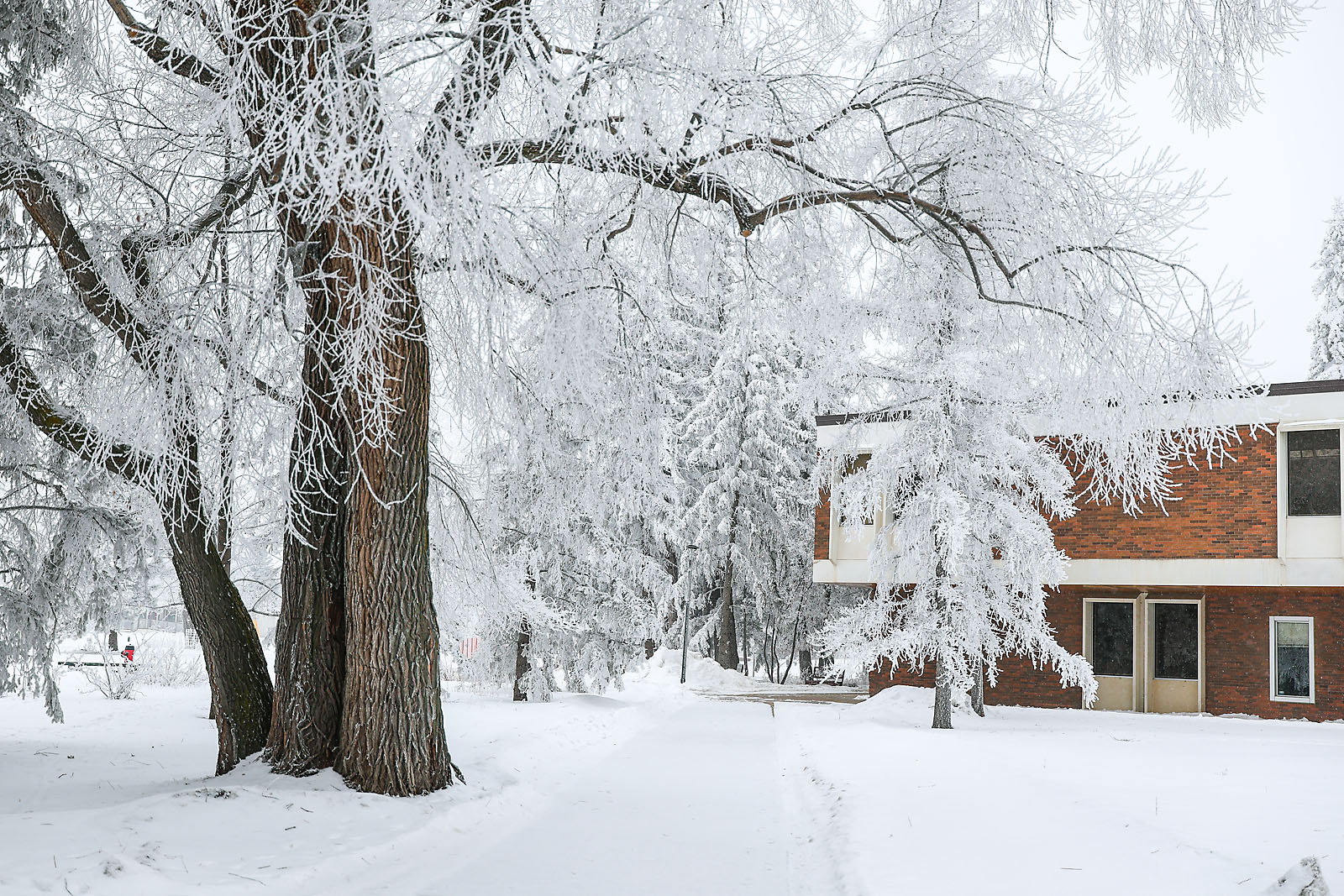 olds college commercial calgary photographer sergei belski photo
