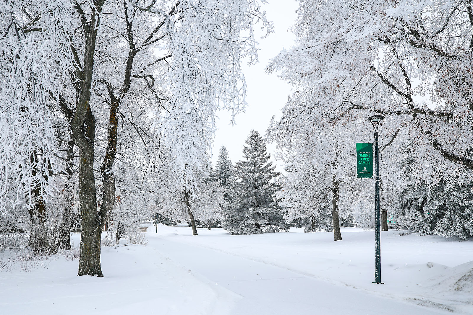 olds college commercial calgary photographer sergei belski photo