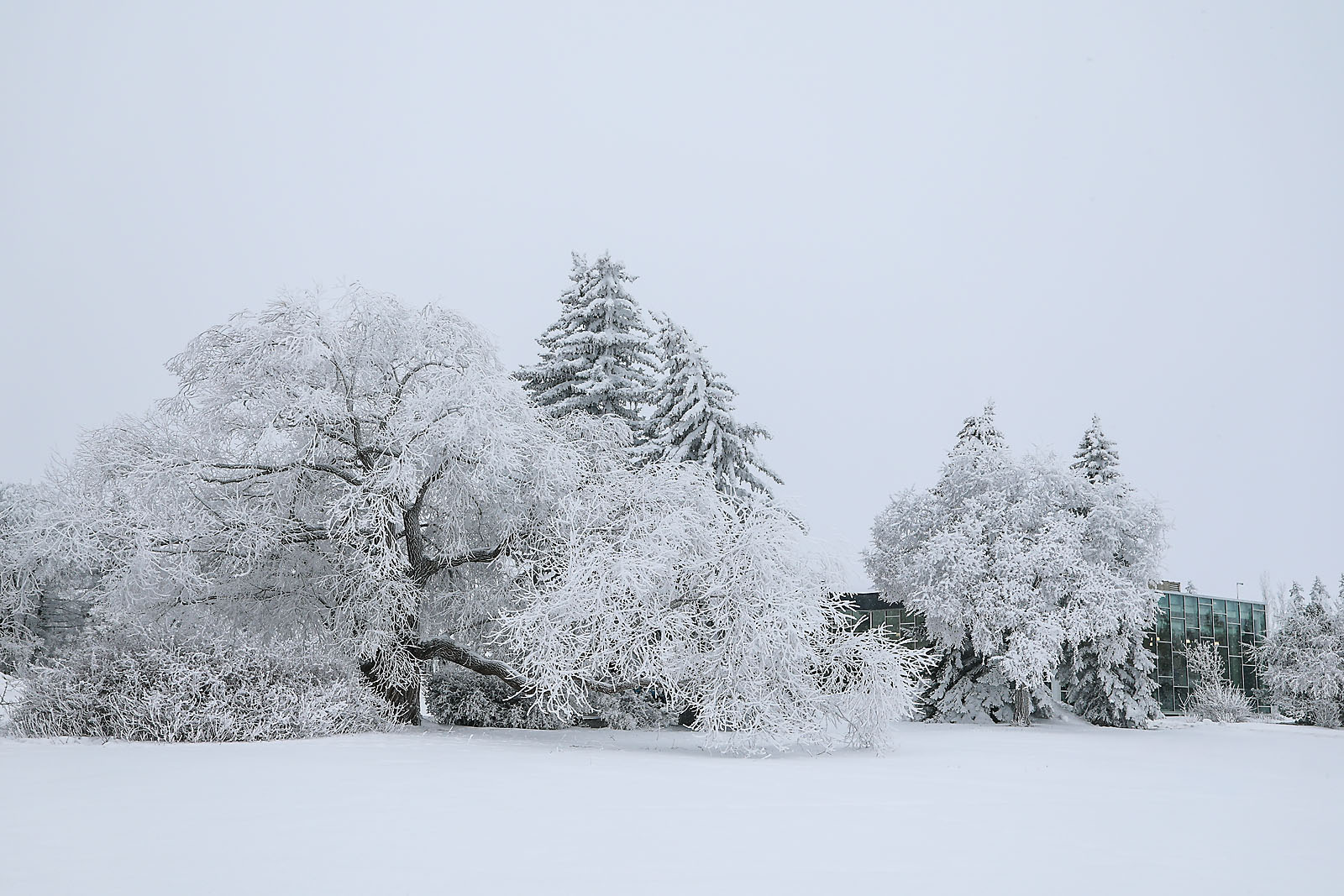 olds college commercial calgary photographer sergei belski photo