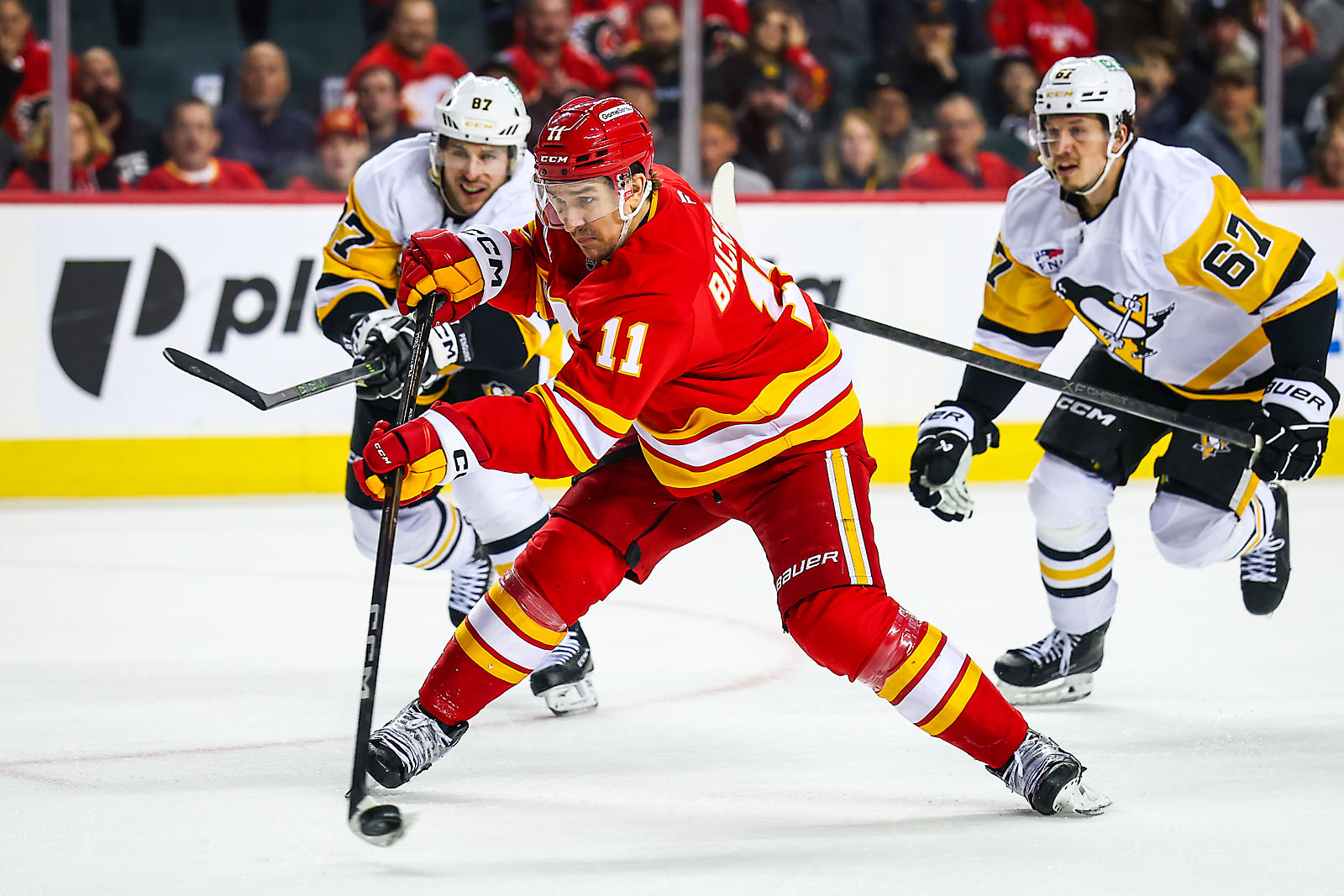 nhl hockey Calgary Flames sports photographer sergei belski photo