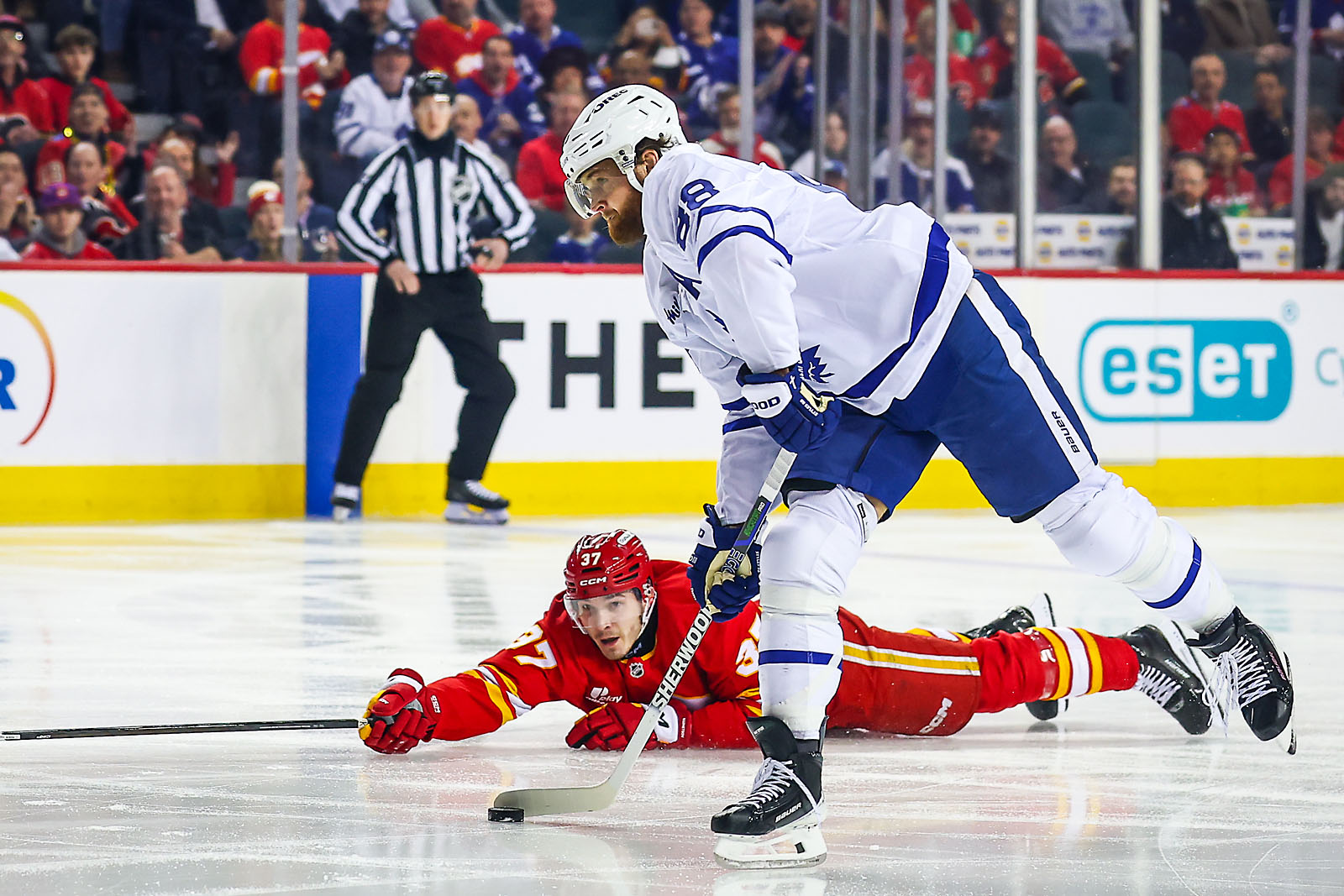 nhl hockey Calgary Flames sports photographer sergei belski photo