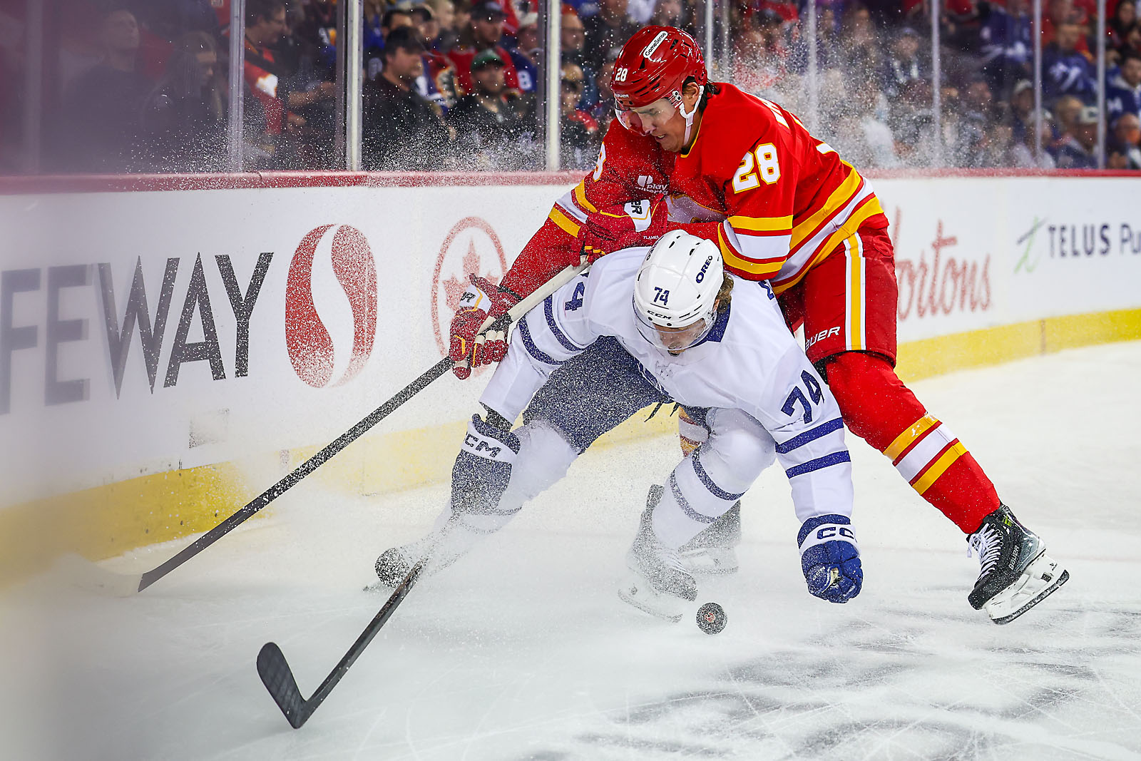 nhl hockey Calgary Flames sports photographer sergei belski photo