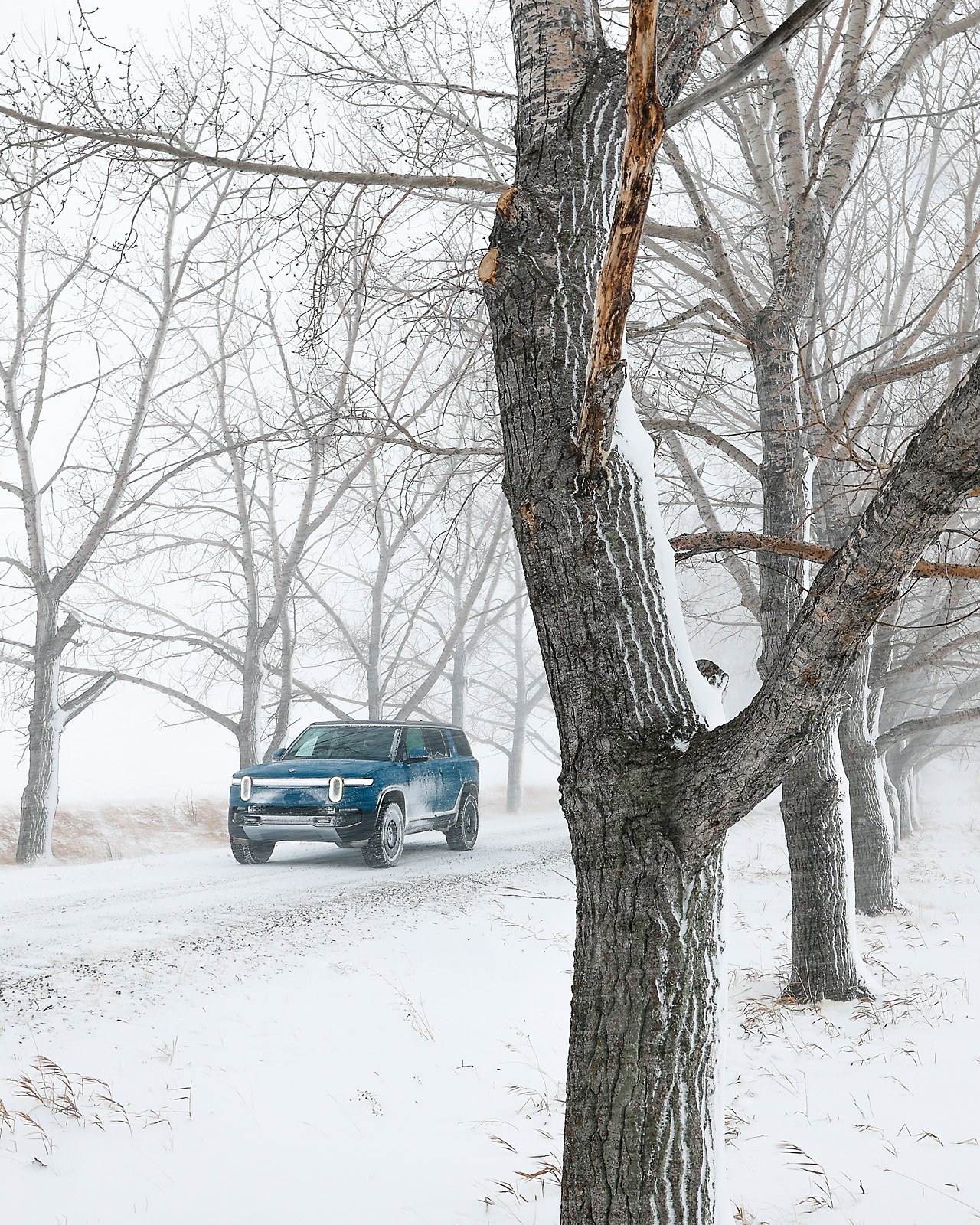 my Rivian adventures automotive photographer sergei belski photo
